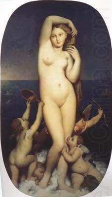 Jean Auguste Dominique Ingres The Birth of Venus (mk04) china oil painting image